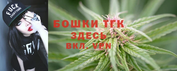 спайс Дмитриев