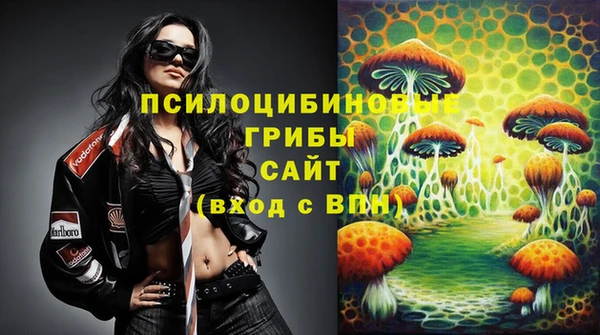 герыч Алексин