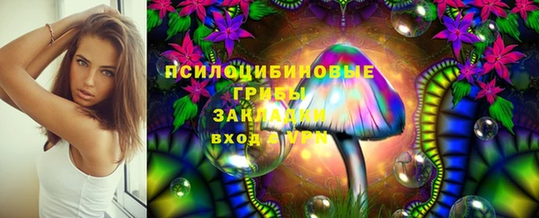 первитин Алексеевка