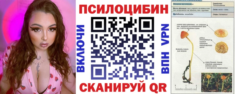 Псилоцибиновые грибы Cubensis  KRAKEN ссылка  Инсар 